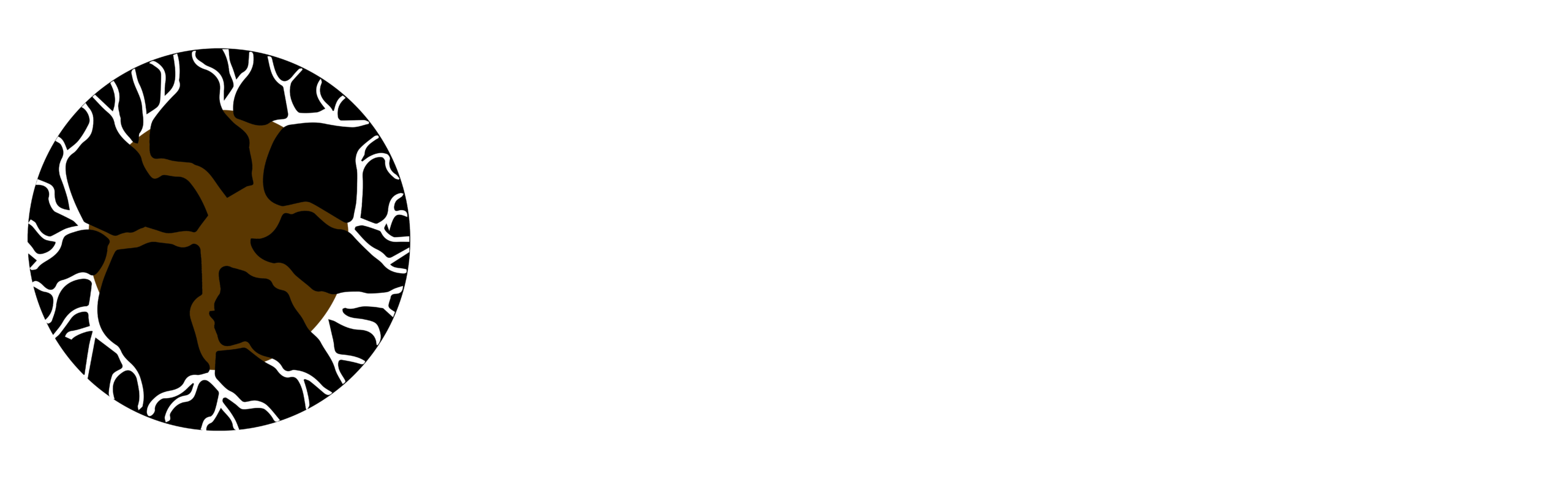 Home - Rootlab Architects